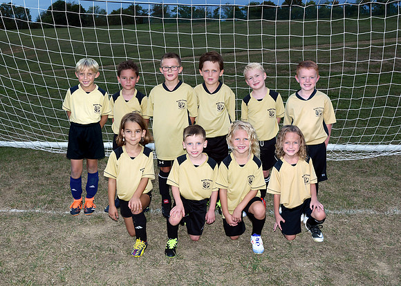 Brown Bears Team Photo