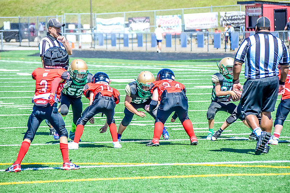 204