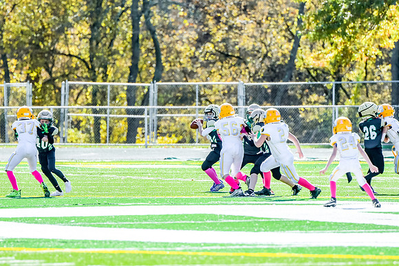 031