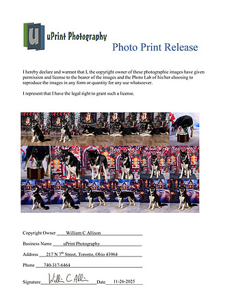 04611Photo Print Release