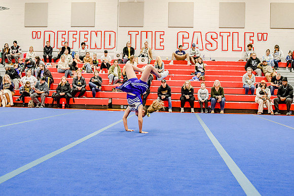 241
