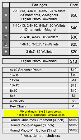 Santa Photo Prices