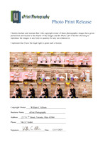 06428Photo Print Release