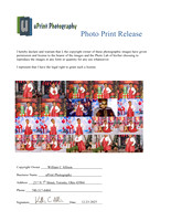 06965Photo Print Release