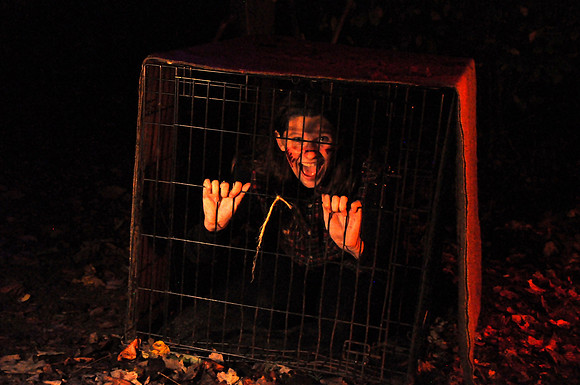 074