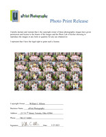 07965Photo Print Release