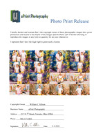 14619Photo Print Release