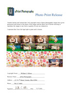 15462Photo Print Release