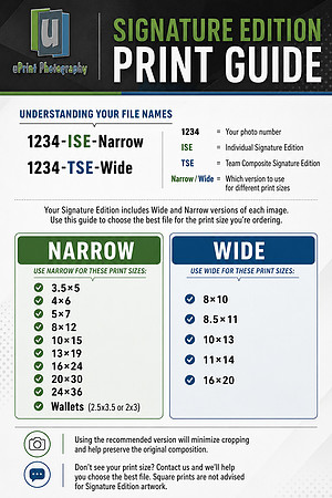 Signature Edition Print Guide