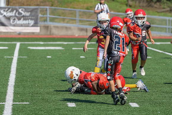 0306