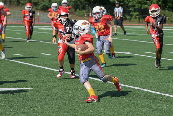 1197