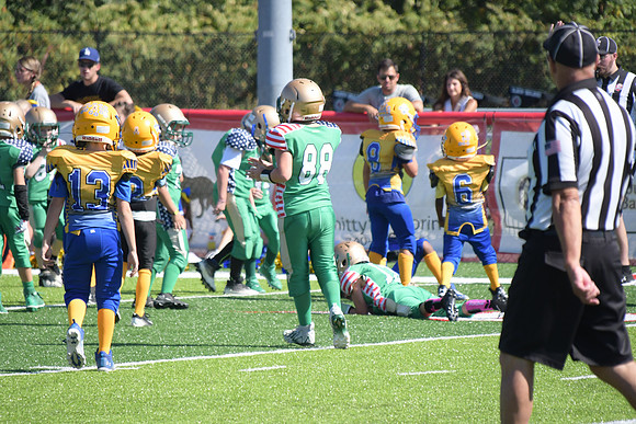 4902