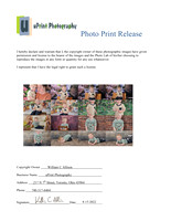 02161Photo Print Release