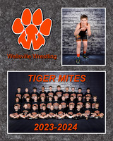 087 Composite (8x10)