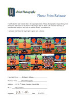 4957Photo Print Release
