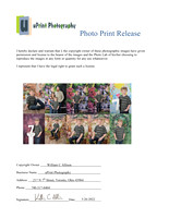 00943Photo Print Release