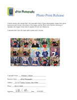 02311Photo Print Release