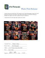1127Photo Print Release