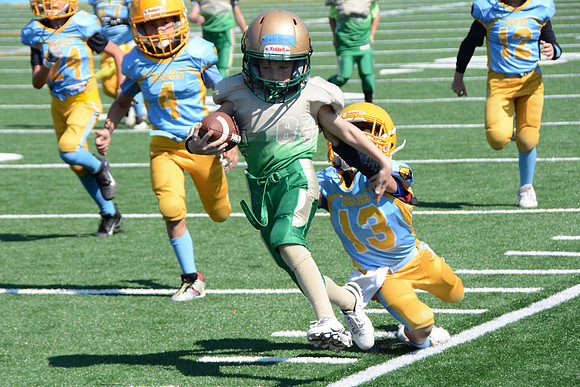050