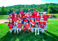 Mustang Red Team Silly