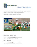 5331Photo Print Release