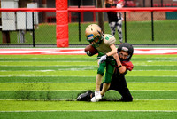 9-5 Richland Raptors at Toronto Titans