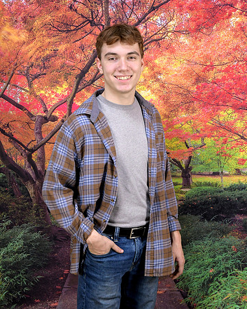 6185